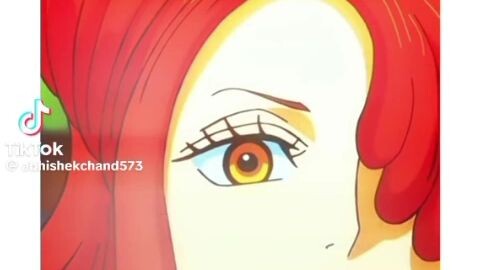 #luffy the title for my captain