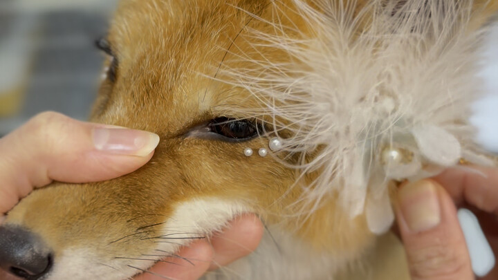 สาวน่าหลงใหล