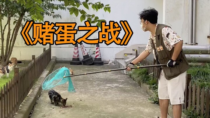 กลับไปจับแมวที่วิทยาลัยซะ ถ้าจับไม่ได้ ฉันจะฆ่าแก
