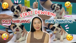 PUPPIES UPDATE! FIRST DEWORMING NILA | MAY NALASING SA DEWORMER 😂