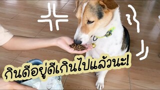 โลกของแสนดี ตอน กินดีกว่าคนอีกอ่ะ!!