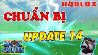 Những Việc Cần Phải Làm Để Chuẩn Bị Trước Cho Update 14 Blox Fruits | Roblox