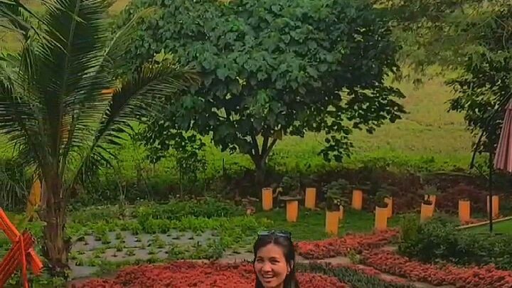 Bonsai no Soto ❣️