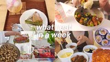 What I eat in a week (realistic) Korean food, Japanese cafes, eating snails 🐌 food diary vlog