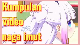 Kumpulan video naga imut