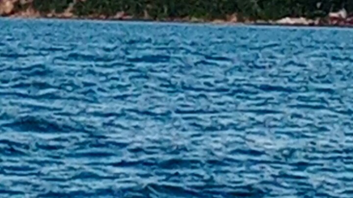 Guimaras
