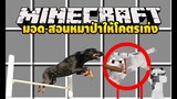 มายคราฟ ฝึกสุนัขให้โคตรโหดไปเลย [มอด Doggy Talents Mod] Minecraft