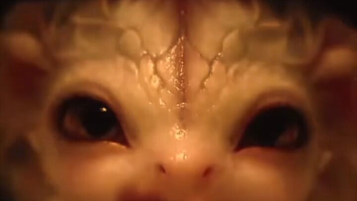 Dragon And Mother Pt 1 #trending #viral #shorts #viralshorts #dramashorts