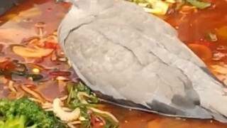露天吃火锅时一只鸟突然精准飞进了火锅正中