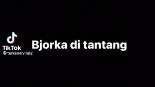 Bjorka kok di tantang 😂