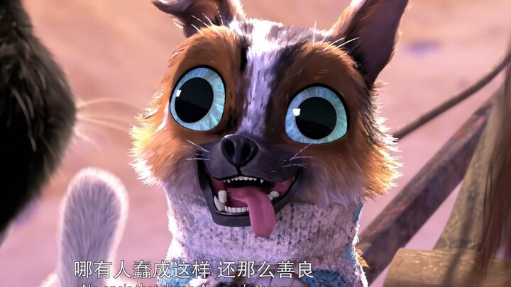 บนโลกนี้จะมีคนที่โง่เขลาและใจดีขนาดนี้ได้อย่างไร