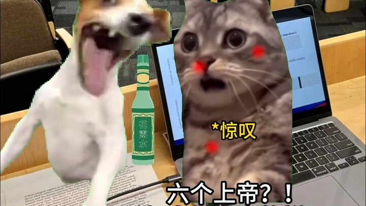 Chinese international students’ social graces are at it again.