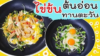 ไข่ข้น ต้นอ่อนทานตะวัน