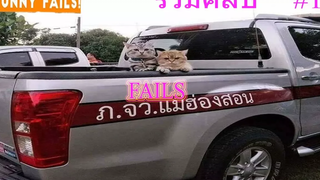 รวมคลิปfail สัตว์ฮาๆ 1