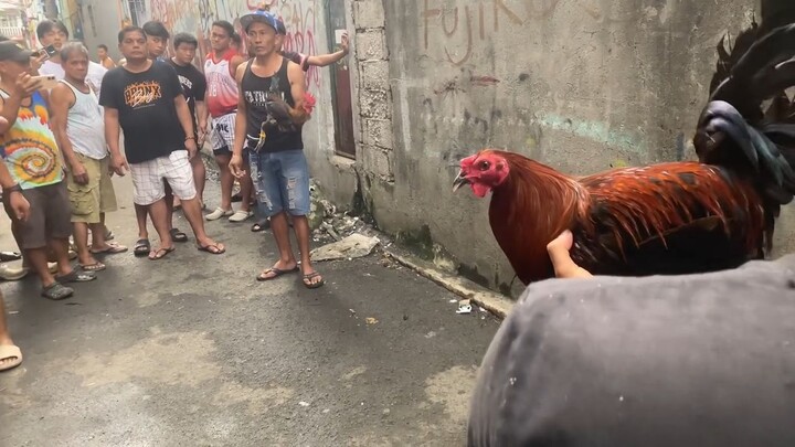 SBR LABAN SA BINABAE TUPADA