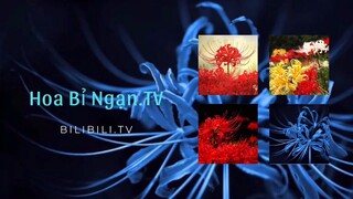 món ăn ngon mỗi ngày cùng với tôi #monngonmoingay