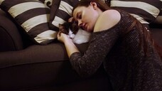 My Cat From Hell (Season 10) Episode 04 - Fluffys Last Stand (sub indo)