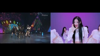 【NMIXX】六人版与七人版同屏对比