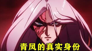 青凤的真实身份原来是青云国的王子，为了报仇他要刺杀首领