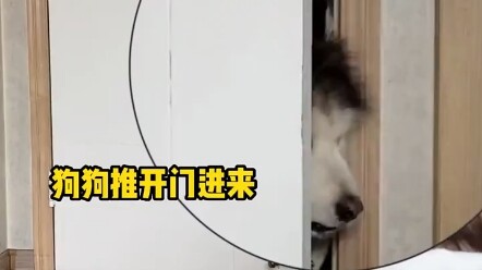 เจ้าตูบเดินเข้าห้องมาเจอเจ้านายตัวน้อย ดูเหมือนยังไม่คุ้นเคยกันดี แต่ก็กลายเป็น “คนในครอบครัว” ไปแล้