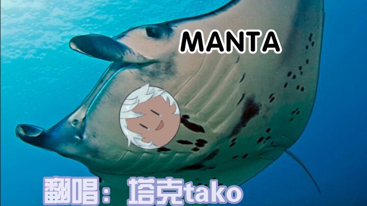 【歌切】塔克Tako|我愿称之为封神版《MANTA》