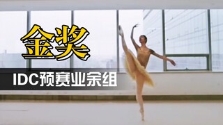 业余成人芭蕾比赛预赛金奖 | IDC中国赛业余B7组