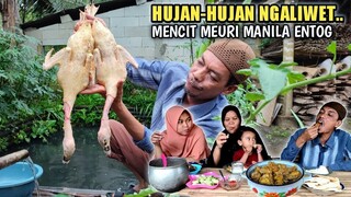 Ngaliwet, Masak 2 Ekor Entok Manila Pedas Bersama Keluarga, Masakan Kampung