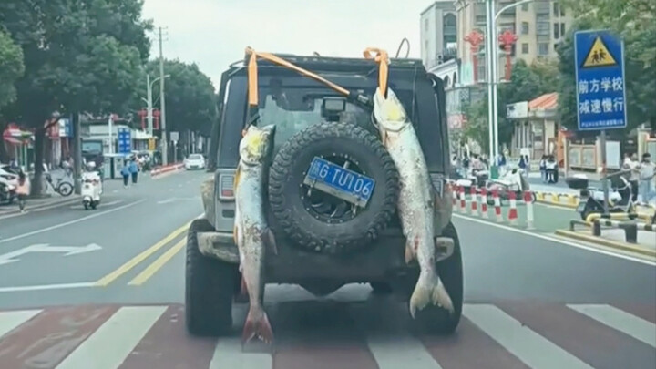 ความสุขของนักตกปลาช่างเรียบง่ายเพียงเท่านี้เอง