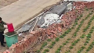 The three grandchildren made their grandmother very angry