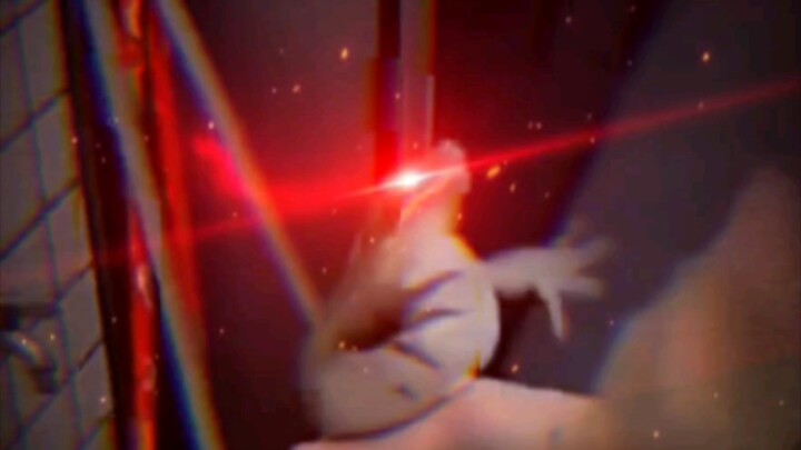 الضفدع الماكر يستمر في لمس بطنك