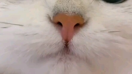 เหล่าหนูน้อยน่ารักโผล่มาแล้ว