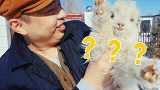 [Câu chuyện ăn uống Thiểm Tây] Đây là video ấm áp nhất của tôi trong năm 2021!
