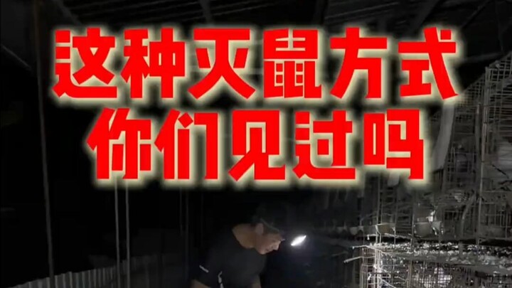 มนุษย์กับหนูไฟฟ้าโหดเกินไปแล้ว!