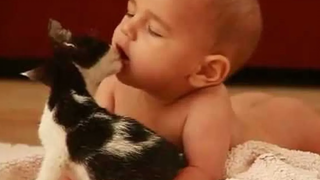 ทารกและแมวเป็นเพื่อนที่ดีที่สุด 👶😽 ทารกและแมวเล่นด้วยกัน