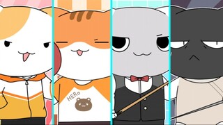 【History is a group of cats/meme】Funky Beat