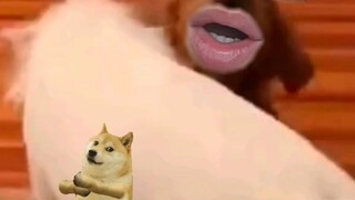 笑死我了再看一遍