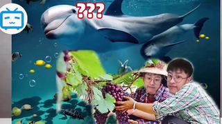 Góc review đồ ăn của Đường Ni #food