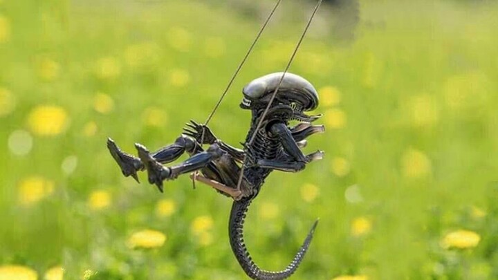 【ดูถูก】เกมนี้ออกแนว “สดชื่น” นิดหน่อย ☠️~