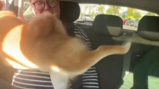 شيو غاو: تلَقَّ هذا الركلة اليسرى المباشرة