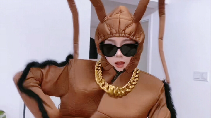 ความแตกต่างระหว่างแมลงสาบในภาคเหนือและภาคใต้