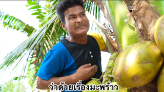 ผ่อนคลายกับสายฮา : ว่าด้วยเรื่องมะพร้าว