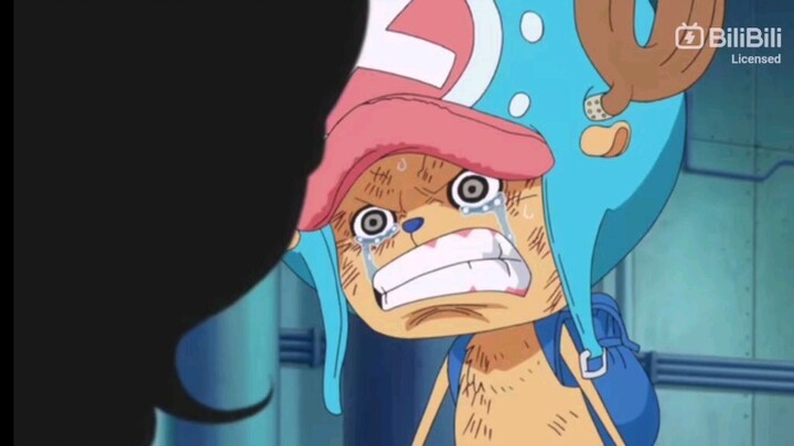 Vice-admiral Sanji.