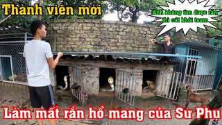 Những Chú Chó Quý Giá Của @Săn Bắt Ẩm Thực Vùng Cao Suýt Gặp Diêm Vương Khi Kẻ Ác Độc Này Thoát Ra