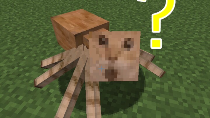 Paket tekstur laba-laba usia lanjut untuk Minecraft