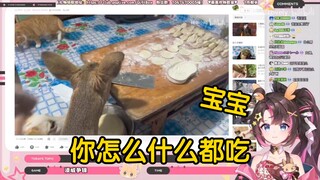 东北狍子看《上炕都费劲》当场绷不住了！“宝宝，你怎么什么都吃啊？！！！”
