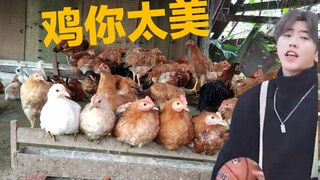 What would happen if you played Cai Xukun’s “Ji Ni Tai Mei” for a chick?