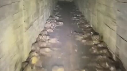لا تخف، سأختصر الطريق بعد الخروج من العمل