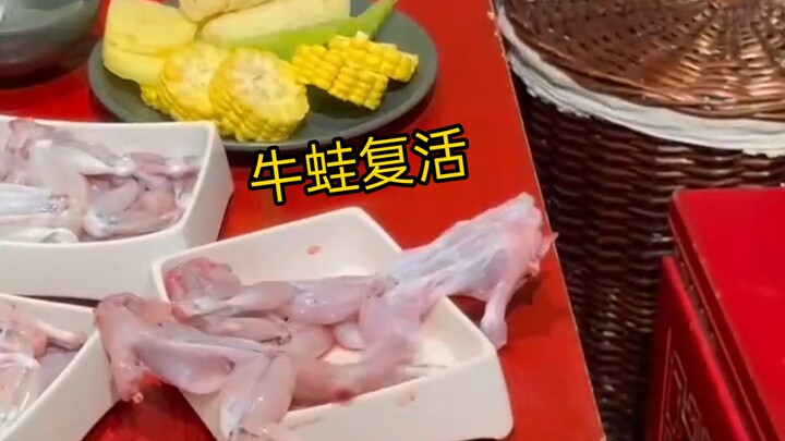 Pernah ketemu hantu, katak raksasa hidup kembali, percaya nggak?