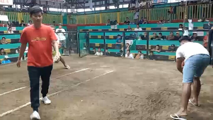 Magtito 5K over Kelso, 2hits Dasma - Loss