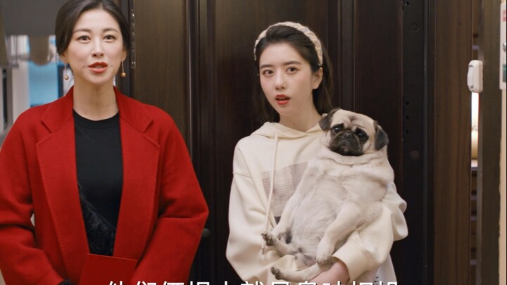 Gimana bisa seseorang begitu pedas bicaranya? Kocak banget! #Huozhijian #ZhuZhu